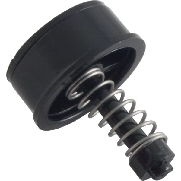 Bypass Plug, Pentair Rainbow RDC/RTL/DSF, 1-1/2"|R172226X